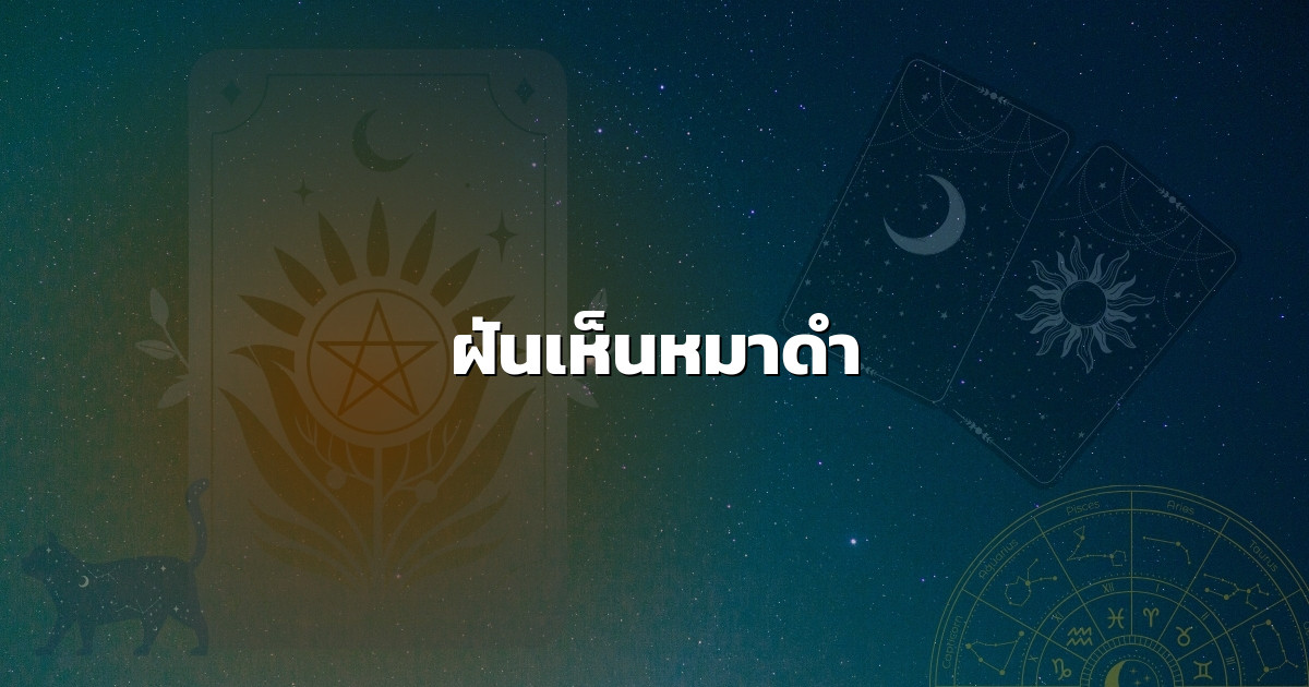 ฝันเห็นหมาดำ