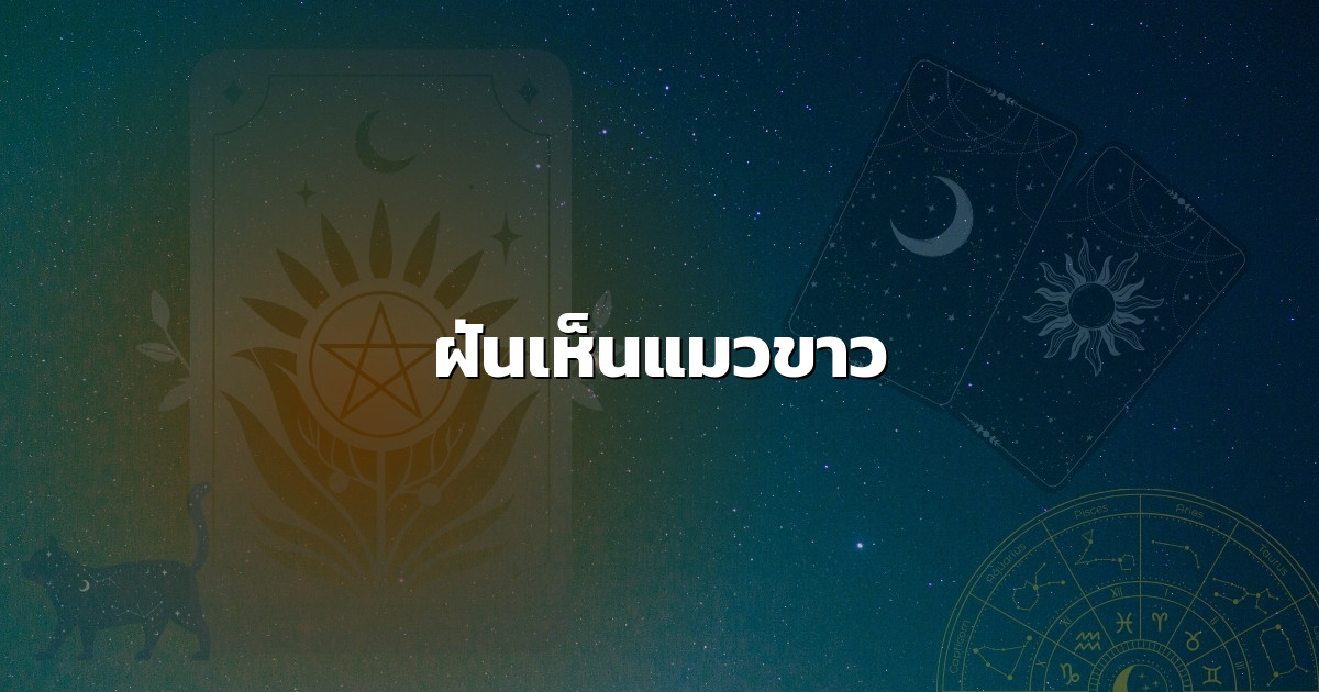 ฝันเห็นแมวขาว